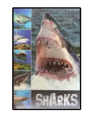 BUNDLE & SAVE🦈 Sharks Book Softcover